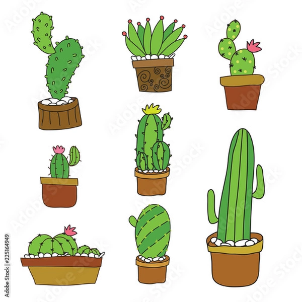 Obraz cactus vector collection design