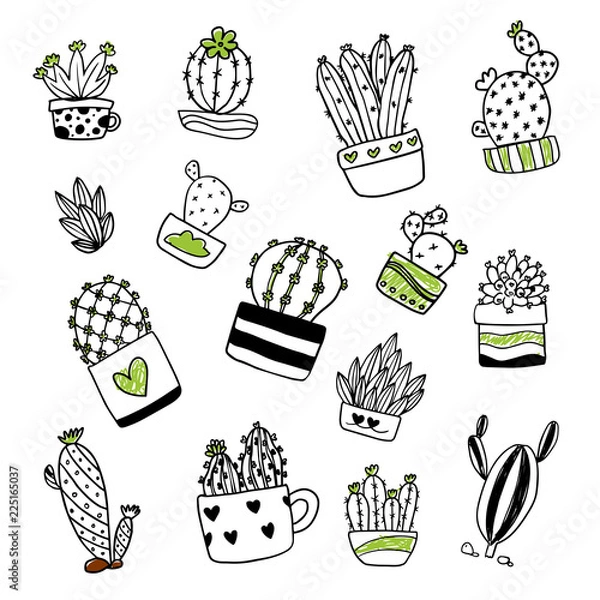 Obraz cactus vector collection design
