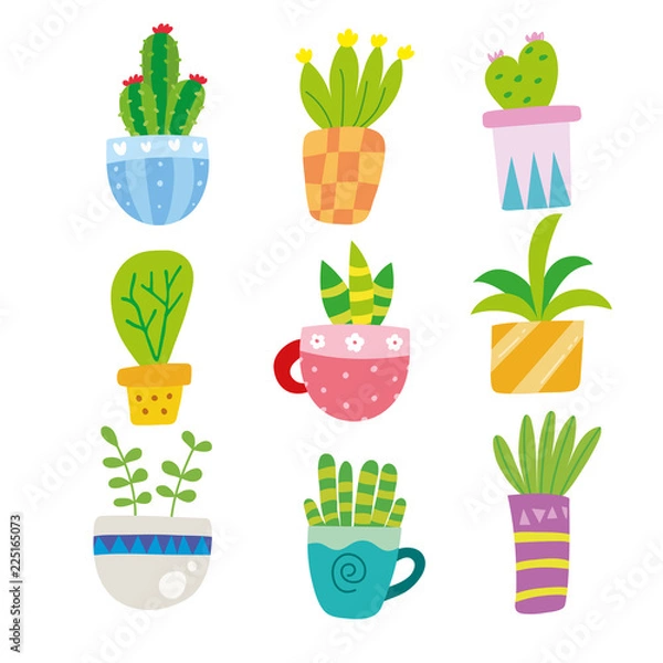 Obraz cactus vector collection design