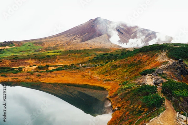 Fototapeta 旭岳の紅葉