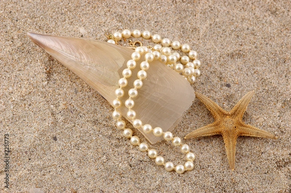 Obraz nacre et perle
