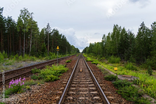 Obraz Empty railroad tracks running in the middle of a forest outside Hanko Finland