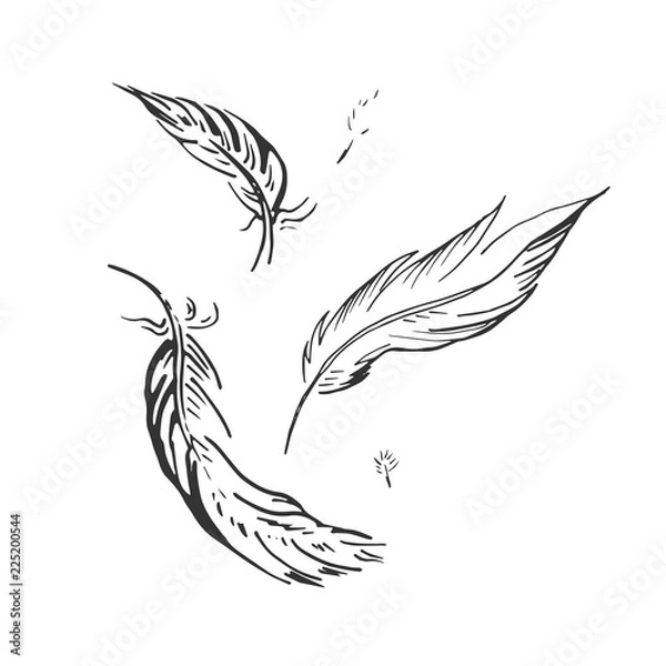 Fototapeta falling feather illustration