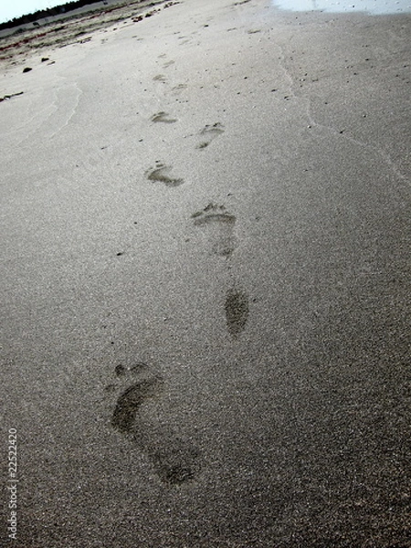 Obraz 20100506_足跡