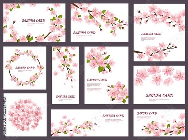 Obraz Sakura wektor kwiat wiśni kartki z ilustracją wiosennych różowych kwitnących kwiatów japoński zestaw dekoracji szablonu zaproszenia ślubne kwitnienia na białym tle