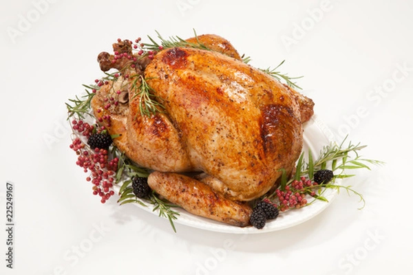 Obraz Thanksgiving Turkey on White