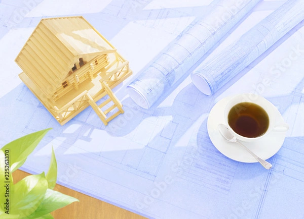 Fototapeta blueprint and model house