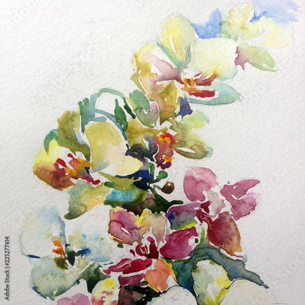 Fototapeta Abstract bright colored decorative background . Floral pattern handmade . Beautiful tender romantic bouquet of orchid spring flowers , made in the technique of watercolors from nature.