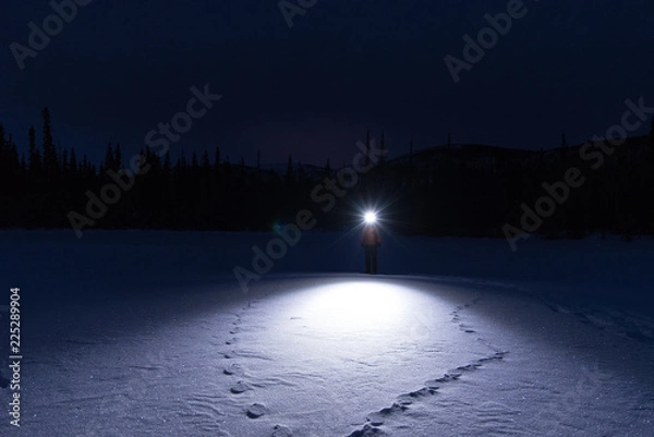 Obraz Figure at night