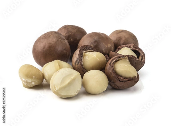 Fototapeta macadamia nuts on white background