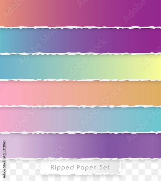 Obraz Ripped paper design element.