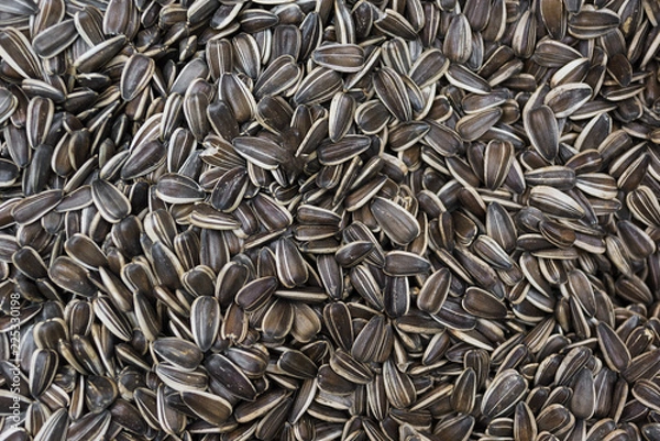 Obraz Sunflower seeds background