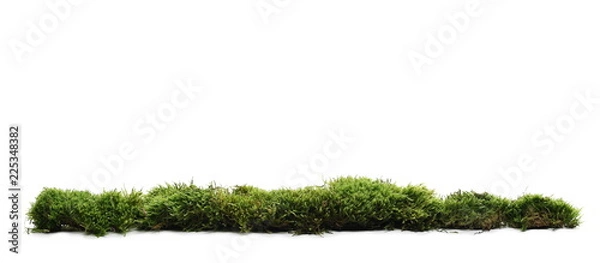 Fototapeta Green moss with grass isolated on white background