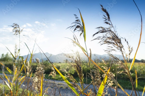 Obraz niskie słońce u podnóża bawarskich Alp