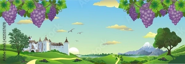 Fototapeta Landscape panorama with bunches of grapes and an ancient castle on the hill.