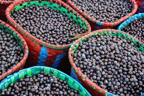 Obraz açaí, belém do pará