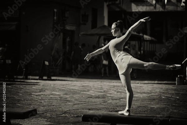 Obraz DANZARE, BALLARE