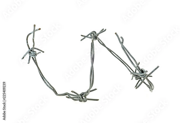 Obraz Barbed wire isolated on a white background