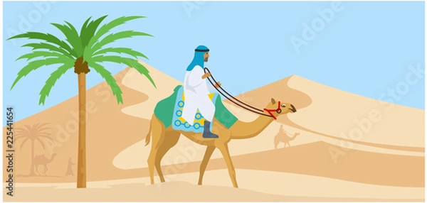 Fototapeta Arabian guy riding his camel trough desert