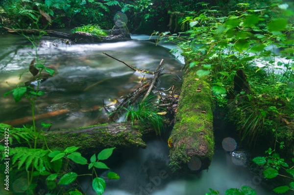 Fototapeta 軽井沢滝巡り