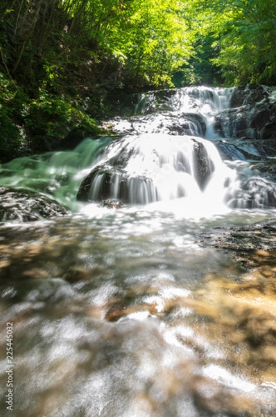 Fototapeta 軽井沢滝巡り
