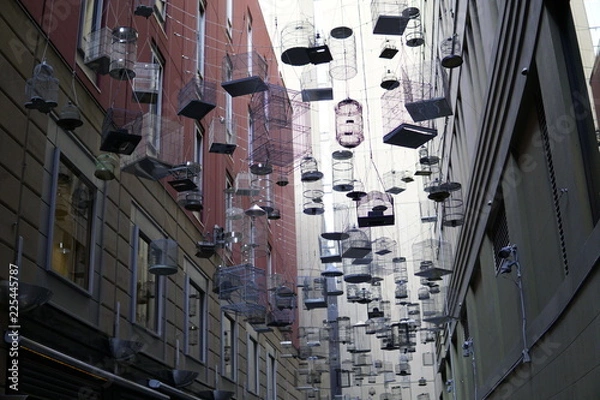 Obraz Hanging Bird Cages