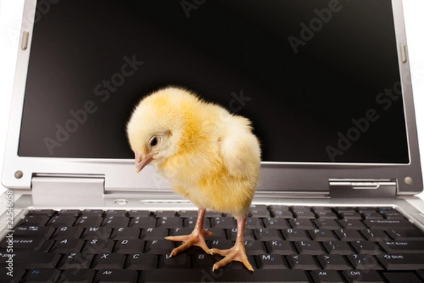 Obraz business first steps