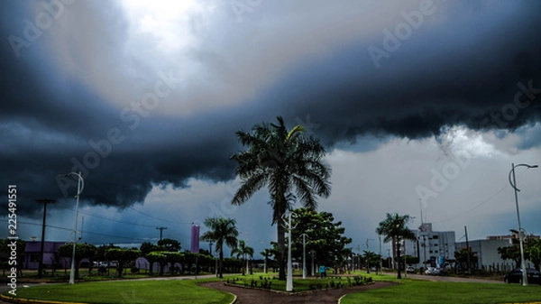 Obraz coconut tree city 