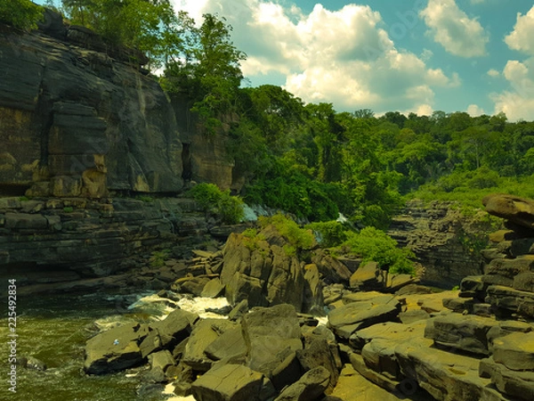 Obraz river in the forest