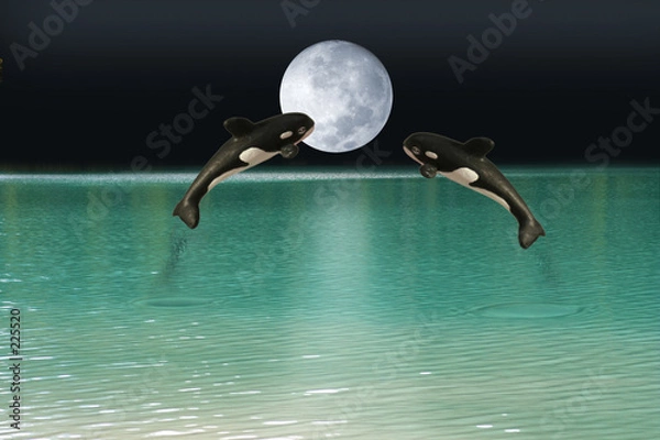 Obraz killer whales over moon