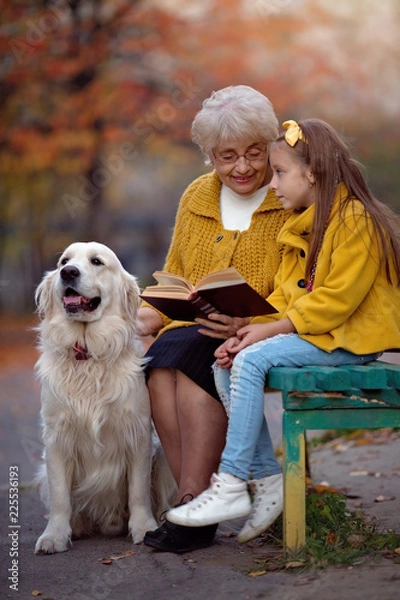 Fototapeta Koncepcja edukacji, koncepcja jesień