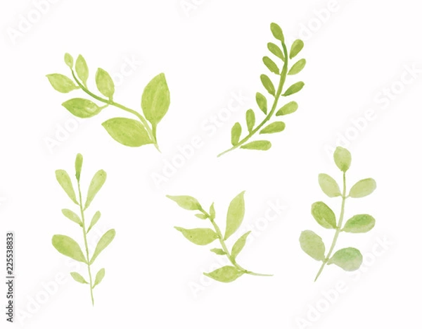 Fototapeta  set of vector watercolor leaves.