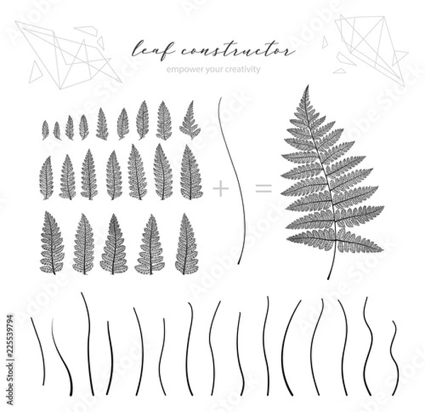 Obraz Big collection of vector branch and leaf, autumn, spring, summer. Detailed macro illustration, not autotrace, constructor design, fern