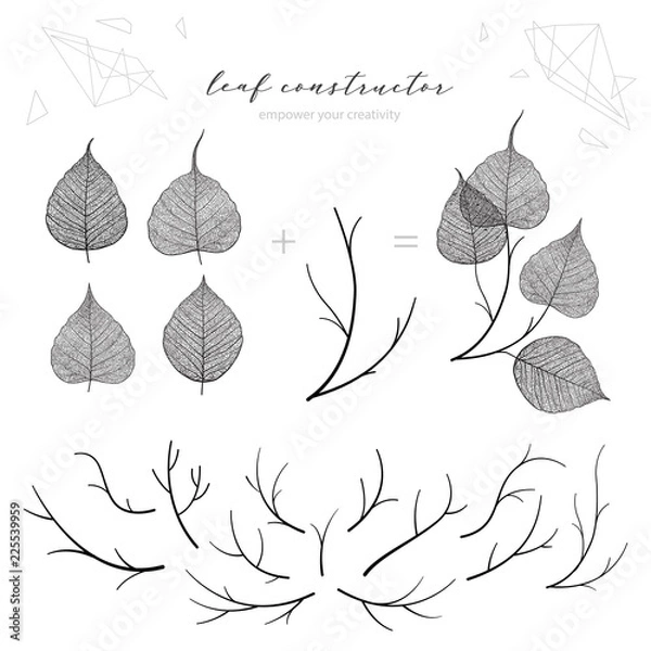 Obraz Big set of leaf veins, branch, leaf, flower, fall, spring, summer. Detailed vector macro illustration, isolated on white background, not autotrace, constructor d