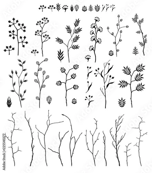 Obraz Big set of branch and flowers, fall, spring, summer. Detailed macro illustration, not autotrace, constructor design