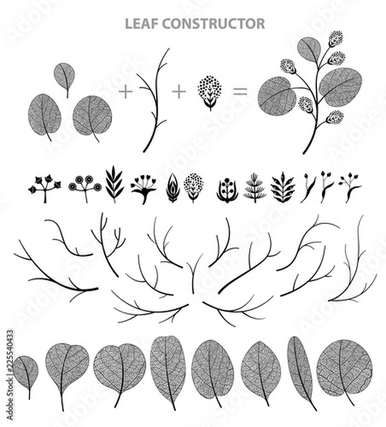Obraz Big set of leaf, flower, branch. Fall, spring, summer. Detailed vector macro illustration, not autotrace, constructor design