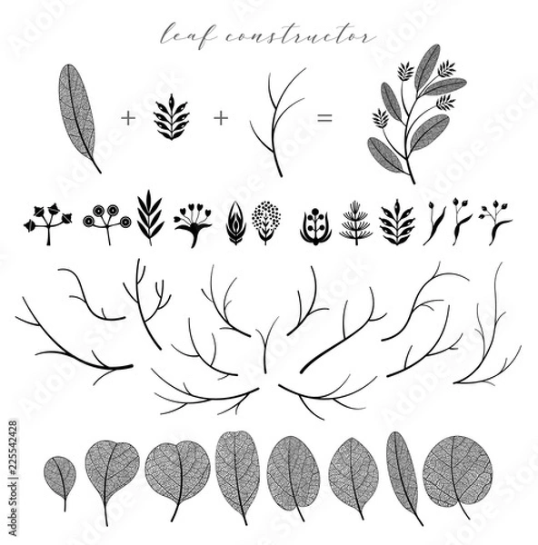 Obraz Big set of vector branch and leaf, fall, spring, summer. Detailed macro illustration, not autotrace, constructor design