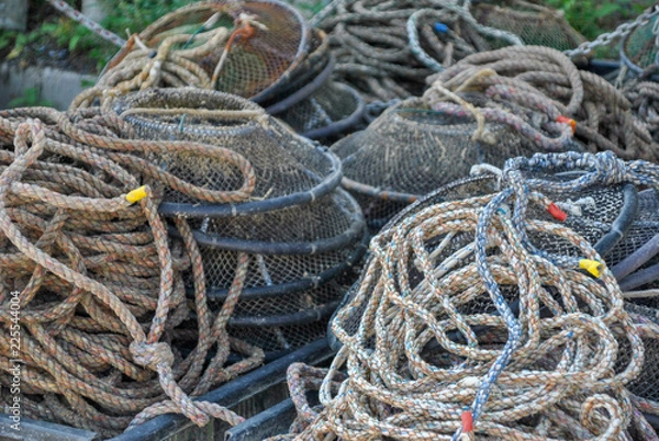 Fototapeta various ropes dryimg in the sun