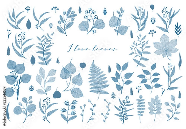 Obraz Branches and leaves, fall, spring, summer. Vintage botanical illustration, floral elements in blue color
