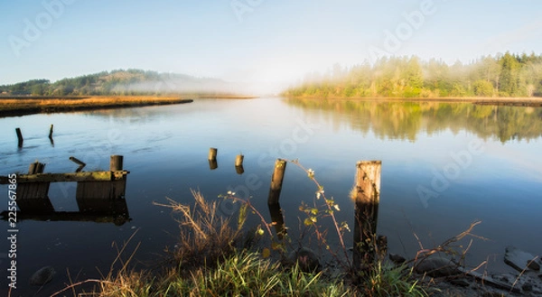 Fototapeta Foggy estuary with old pier posts, grass, forest, mist and blue sky