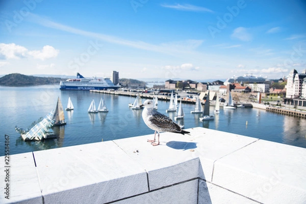 Fototapeta big gull on the roof of the opera house in the donkey against the backdrop of the sea and ships