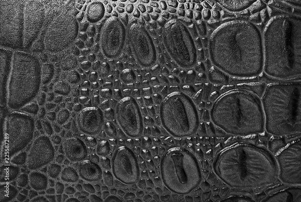 Fototapeta Crocodile leather texture background