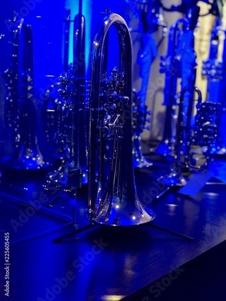 Obraz Trumpet in blue