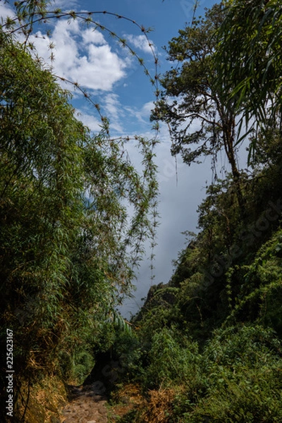 Obraz Salkantay, Inca trail to Machu Picchu