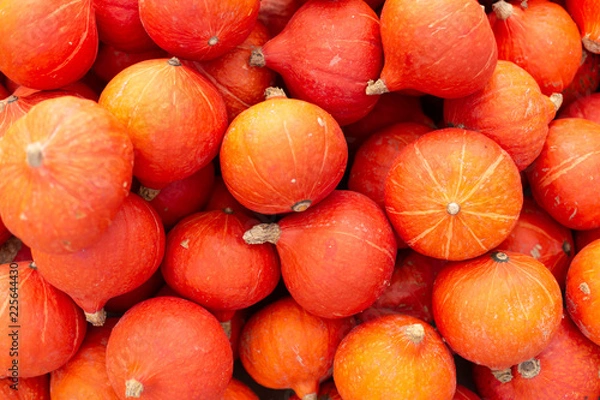 Obraz Red Kuri Squash na targu