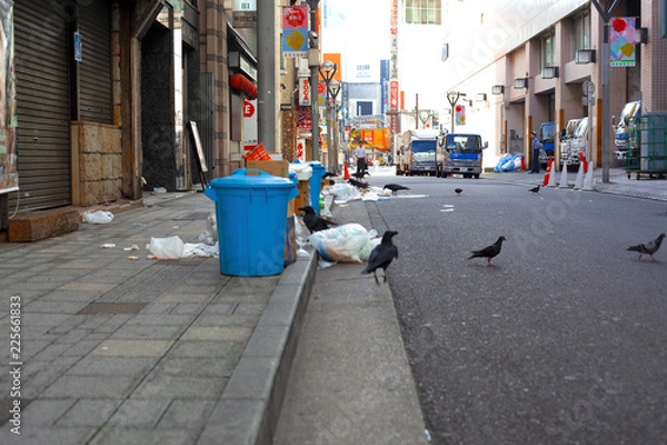 Obraz 東京新宿の空とゴミ