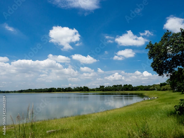 Fototapeta OLYMPUS DIGITAL CAMERA