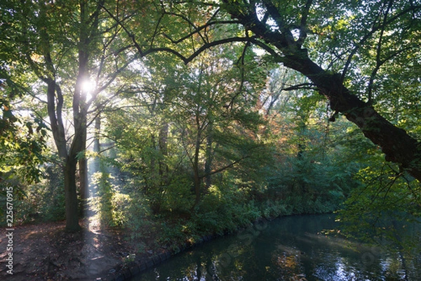 Obraz A hazy sun shines through a humid forest with pond in early autumn  
