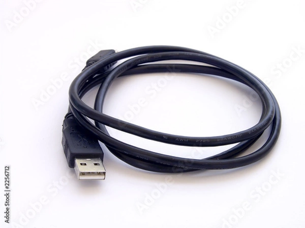 Obraz usb cable 2