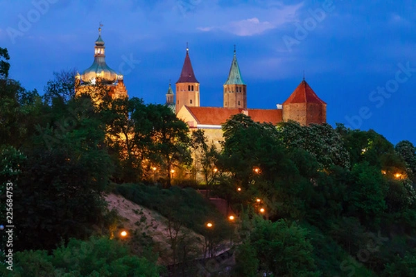 Fototapeta Płock- Katedra